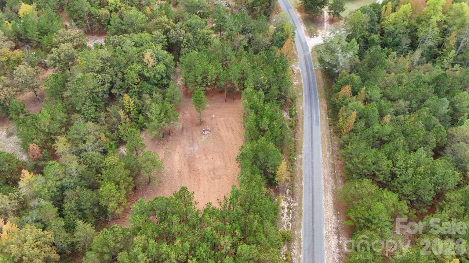 0 Steen Road Mount Croghan, SC 29727 - Photo 6 of 19 an aerial view of a house with yard