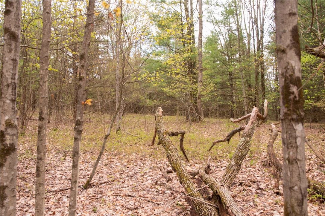 Lang Road Spencer, NY 14883 - Photo 11 of 50