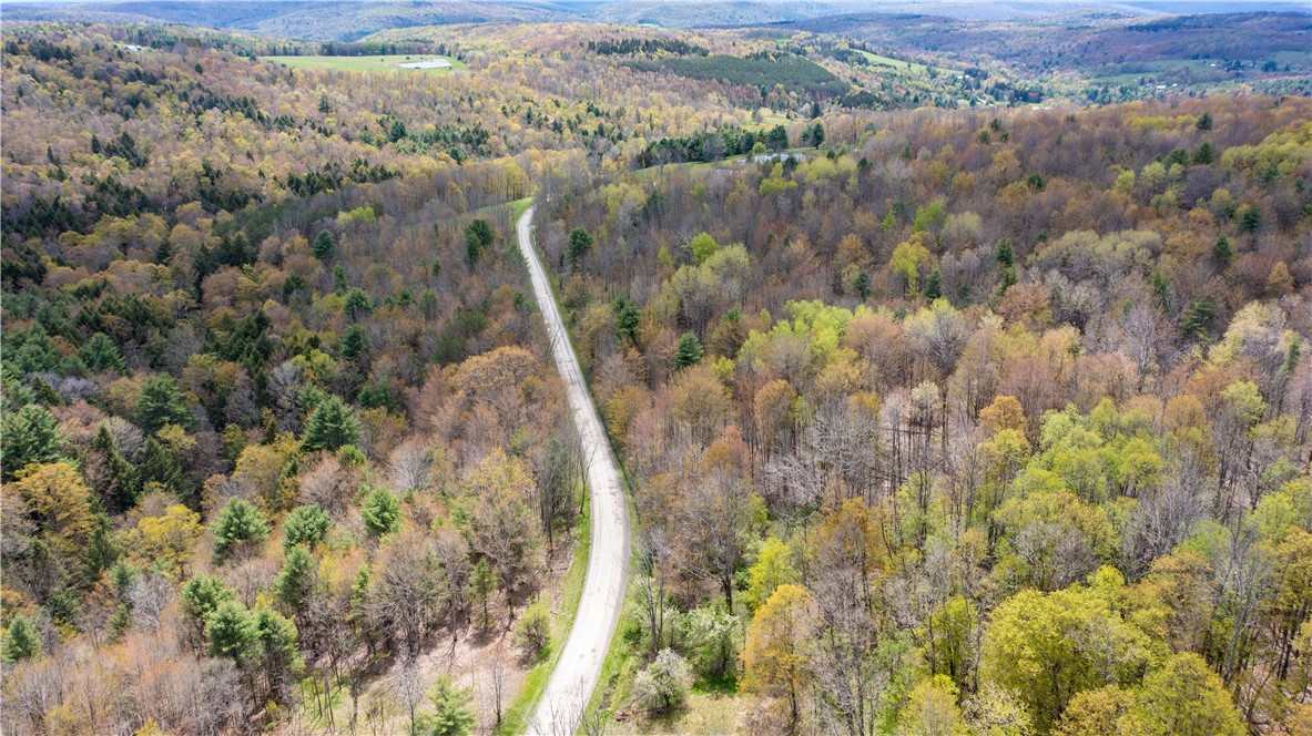 Lang Road Spencer, NY 14883 - Photo 12 of 50
