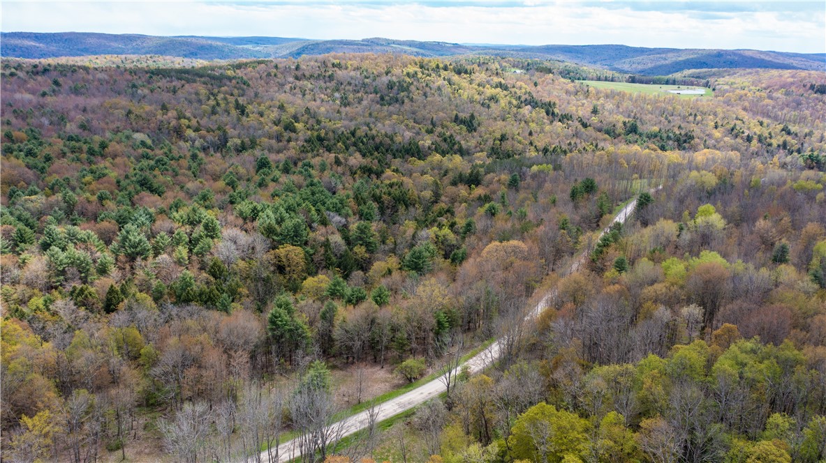 Lang Road Spencer, NY 14883 - Photo 13 of 50