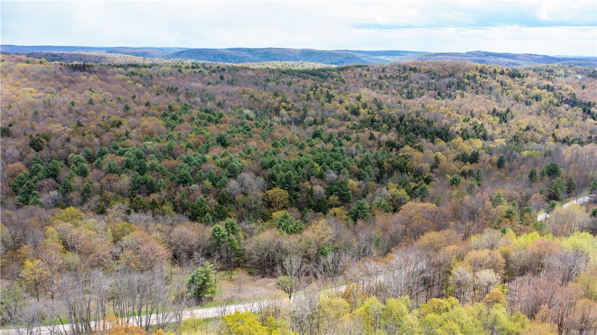 Lang Road Spencer, NY 14883 - Photo 14 of 50