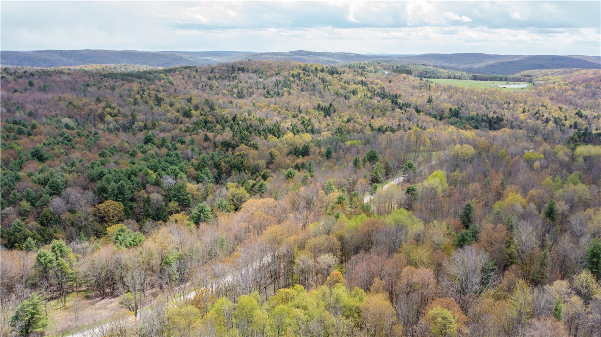 Lang Road Spencer, NY 14883 - Photo 15 of 50
