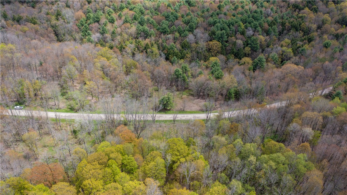 Lang Road Spencer, NY 14883 - Photo 16 of 50