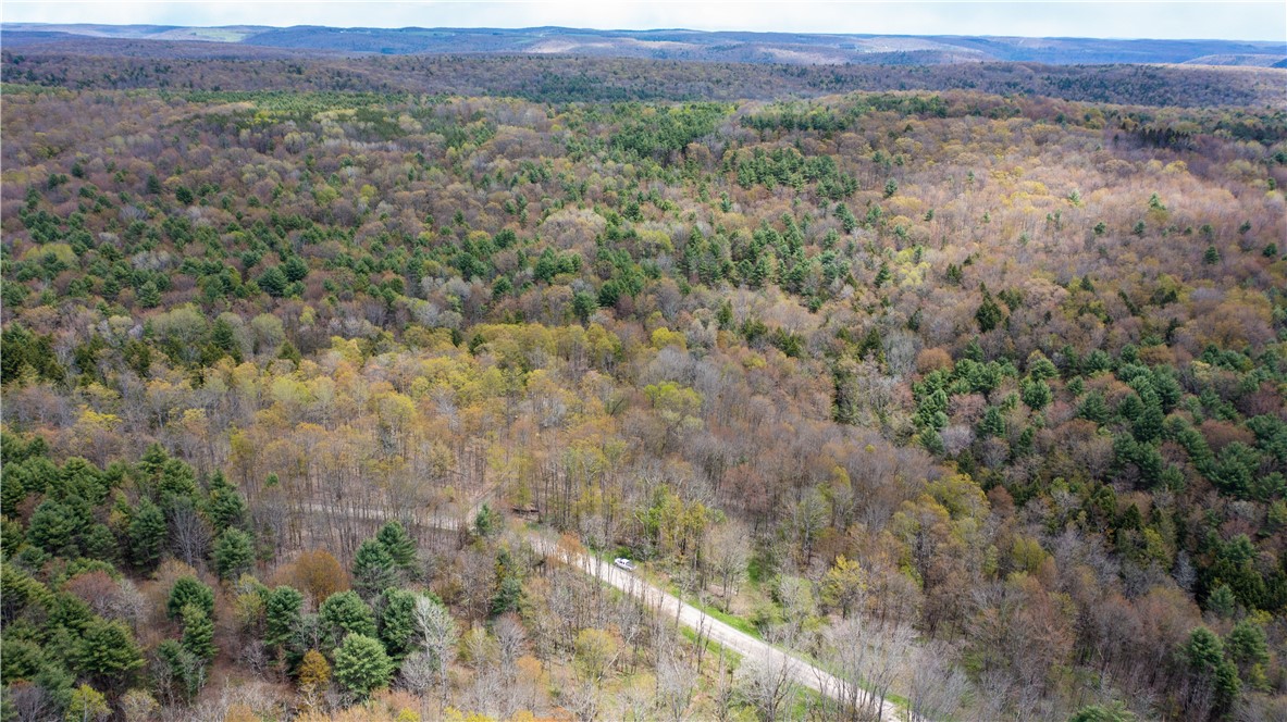 Lang Road Spencer, NY 14883 - Photo 17 of 50