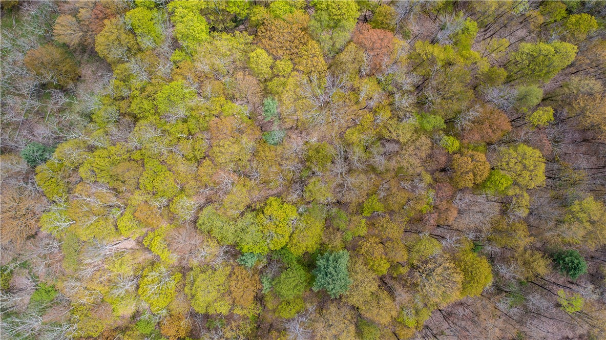 Lang Road Spencer, NY 14883 - Photo 18 of 50