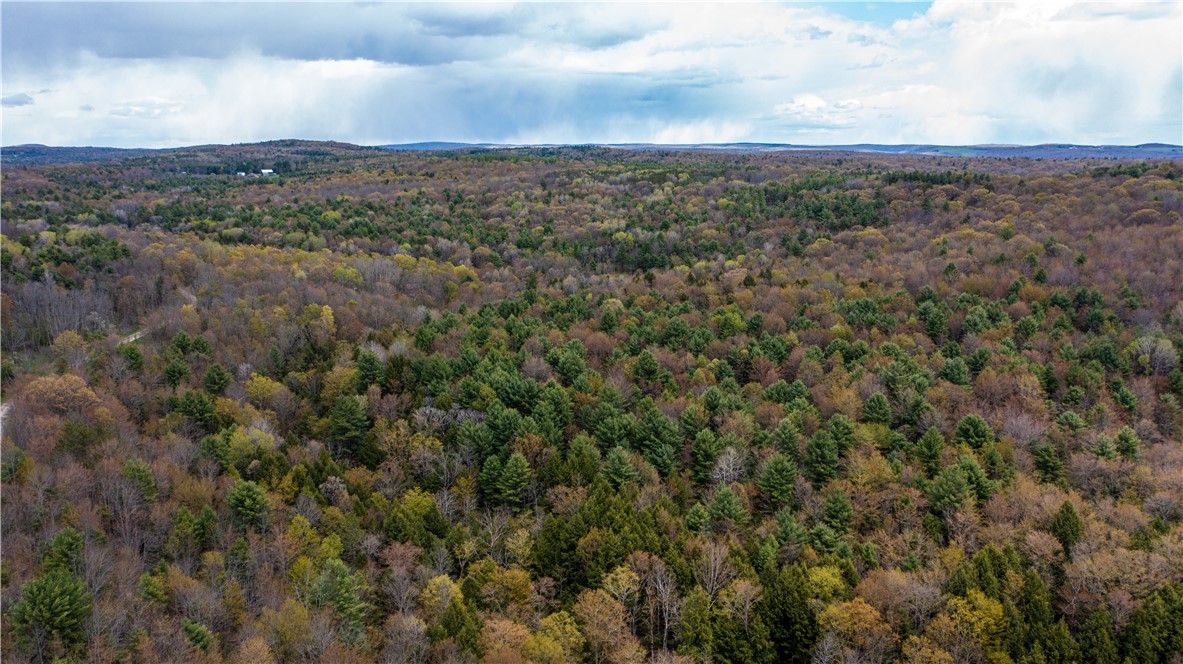 Lang Road Spencer, NY 14883 - Photo 19 of 50