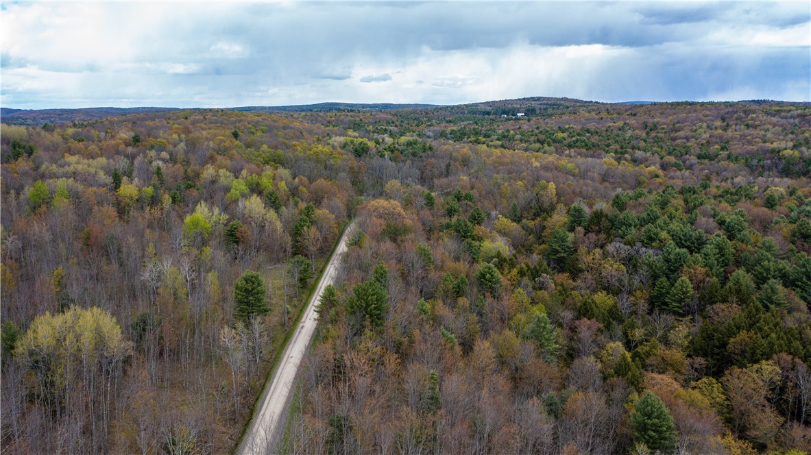 Lang Road Spencer, NY 14883 - Photo 20 of 50