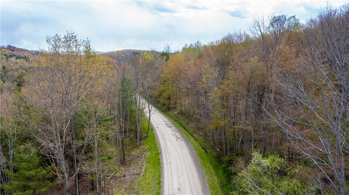 Lang Road Spencer, NY 14883 - Photo 2 of 50