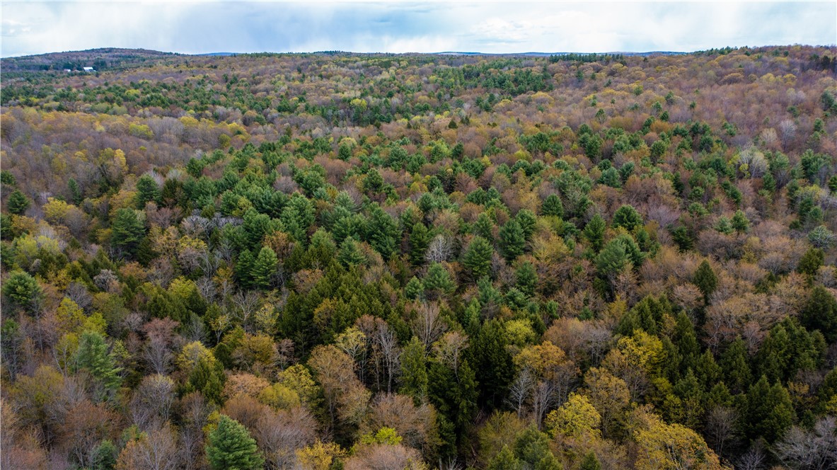 Lang Road Spencer, NY 14883 - Photo 21 of 50