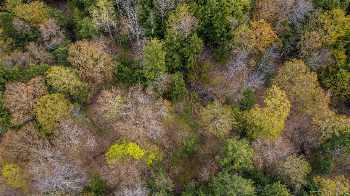 Lang Road Spencer, NY 14883 - Photo 22 of 50