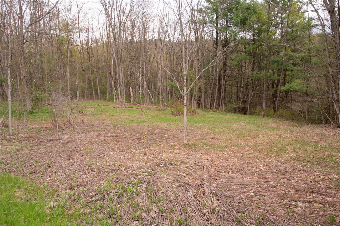 Lang Road Spencer, NY 14883 - Photo 23 of 50