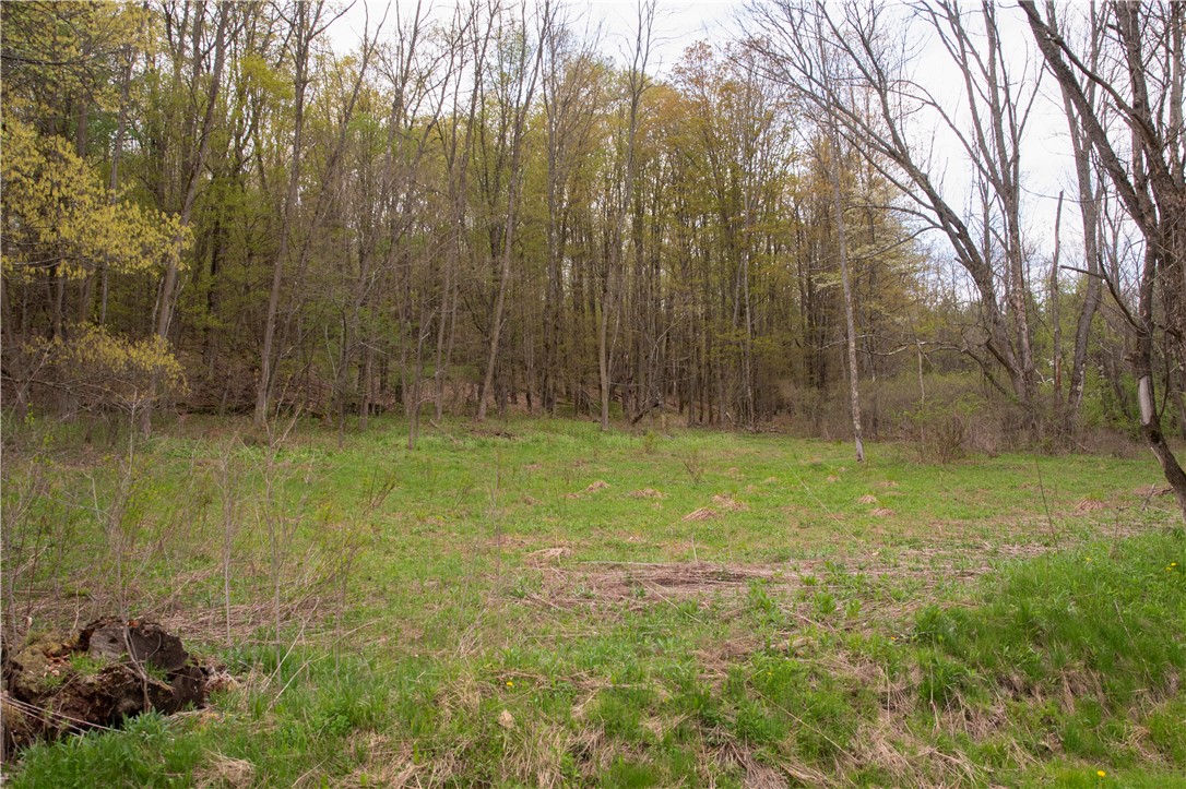 Lang Road Spencer, NY 14883 - Photo 24 of 50