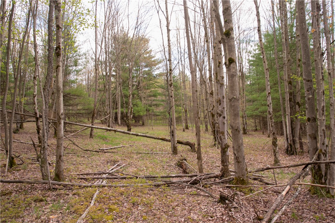 Lang Road Spencer, NY 14883 - Photo 26 of 50