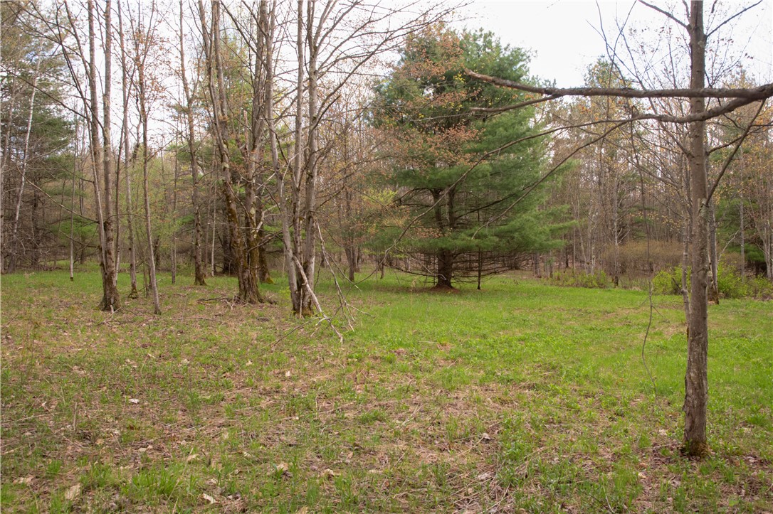 Lang Road Spencer, NY 14883 - Photo 27 of 50