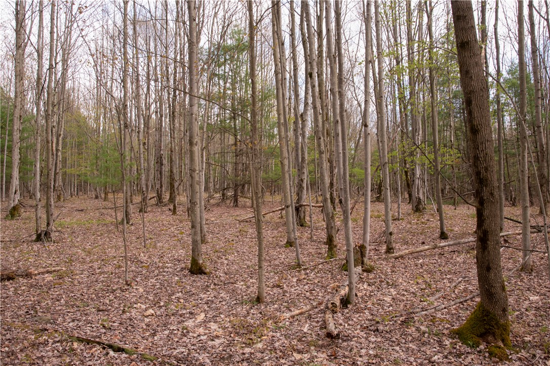 Lang Road Spencer, NY 14883 - Photo 28 of 50