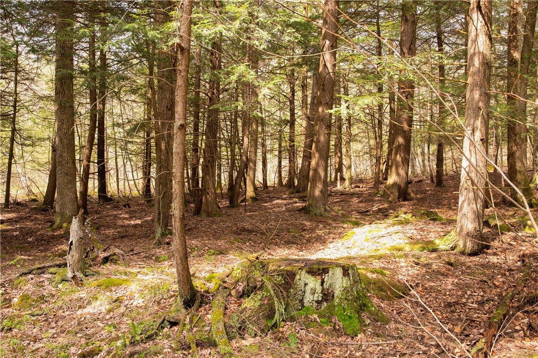 Lang Road Spencer, NY 14883 - Photo 29 of 50