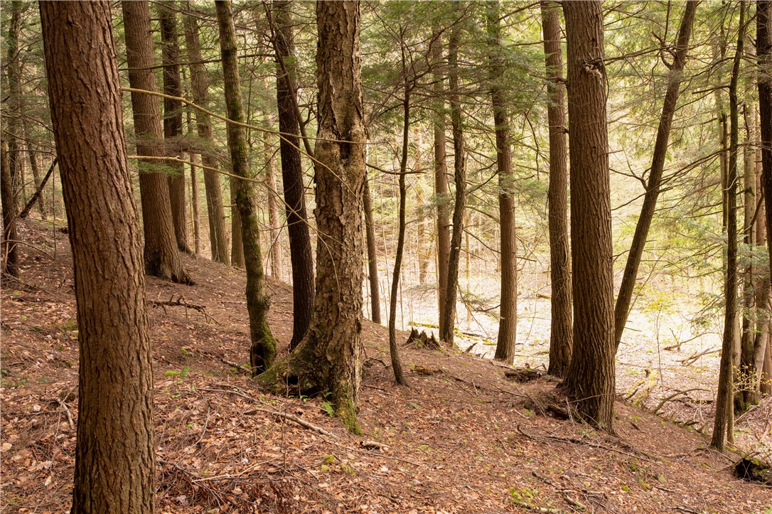 Lang Road Spencer, NY 14883 - Photo 30 of 50