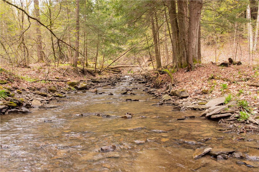 Lang Road Spencer, NY 14883 - Photo 31 of 50