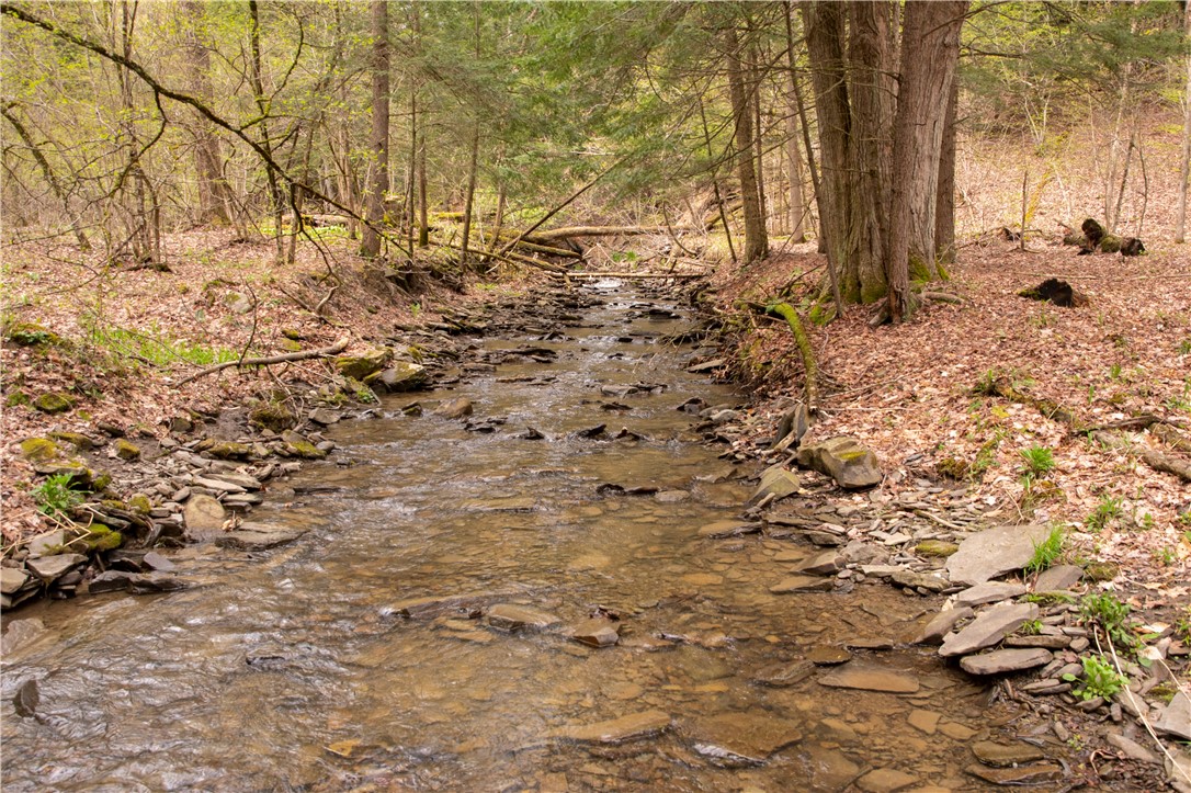 Lang Road Spencer, NY 14883 - Photo 32 of 50