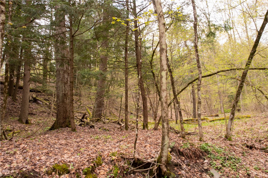 Lang Road Spencer, NY 14883 - Photo 33 of 50