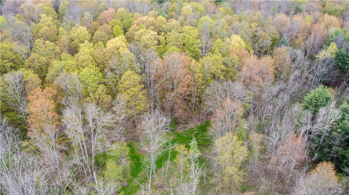 Lang Road Spencer, NY 14883 - Photo 34 of 50