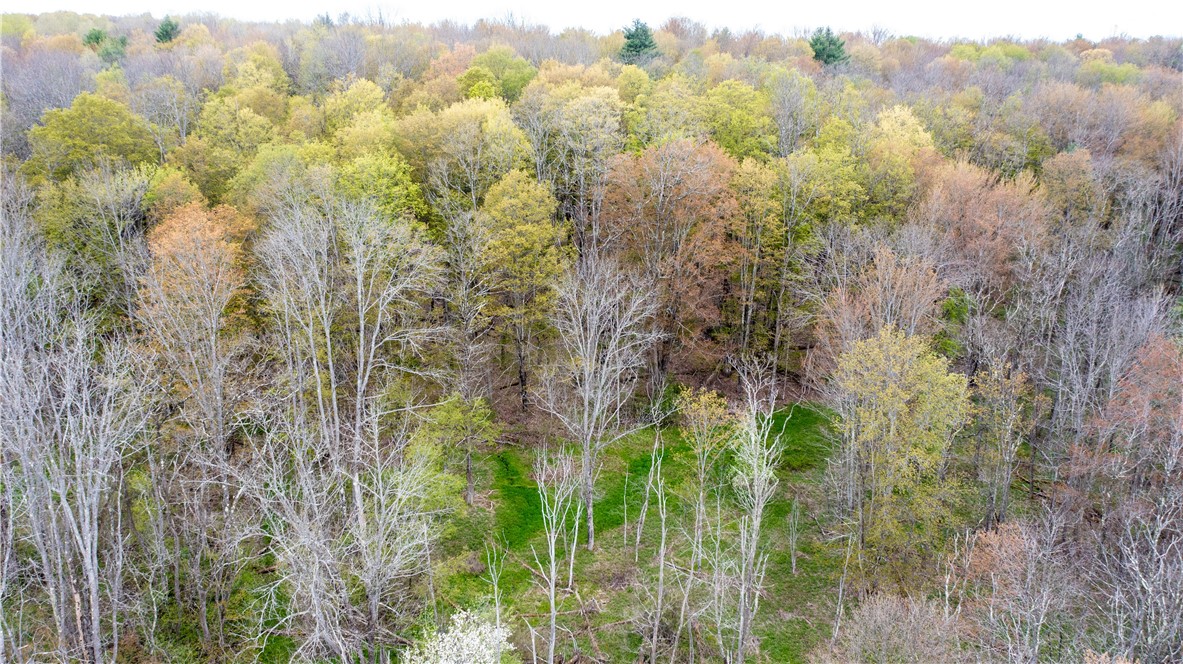 Lang Road Spencer, NY 14883 - Photo 35 of 50