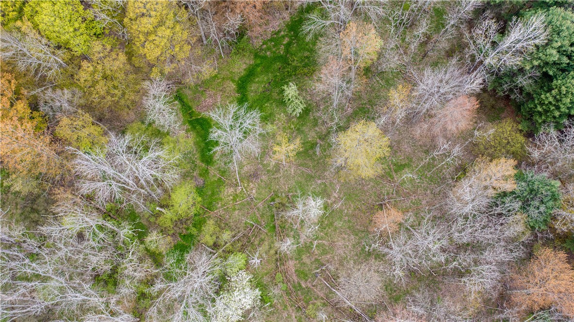 Lang Road Spencer, NY 14883 - Photo 36 of 50