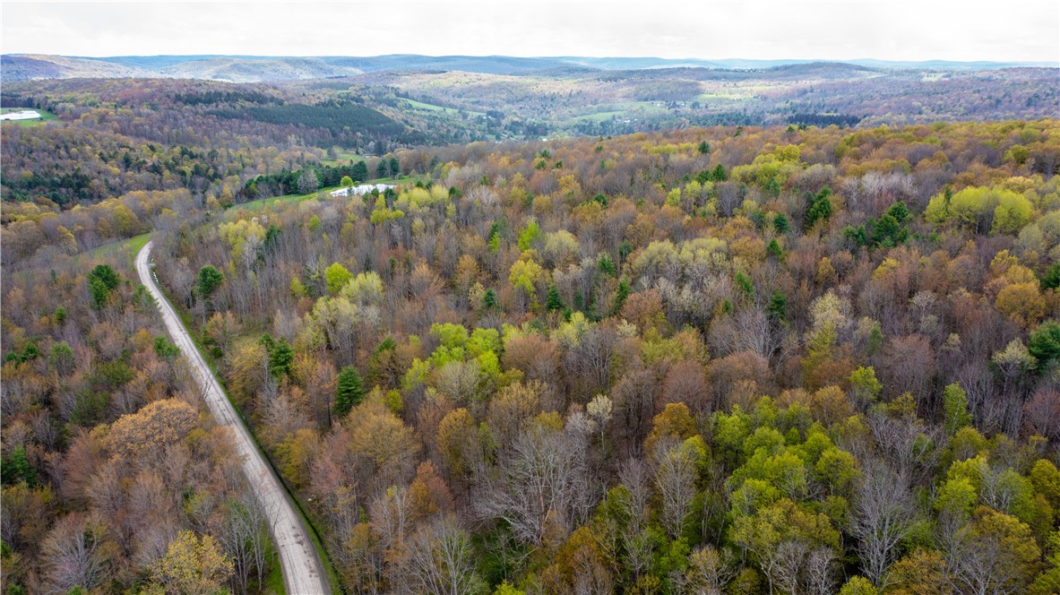 Lang Road Spencer, NY 14883 - Photo 37 of 50