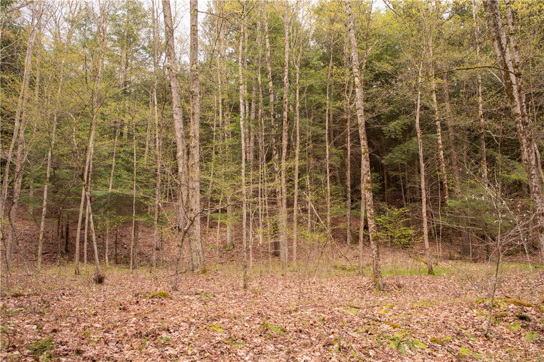 Lang Road Spencer, NY 14883 - Photo 38 of 50