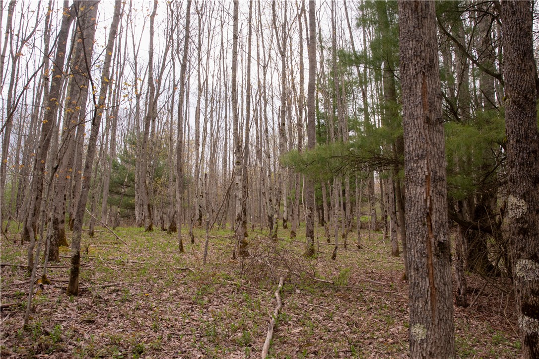 Lang Road Spencer, NY 14883 - Photo 39 of 50