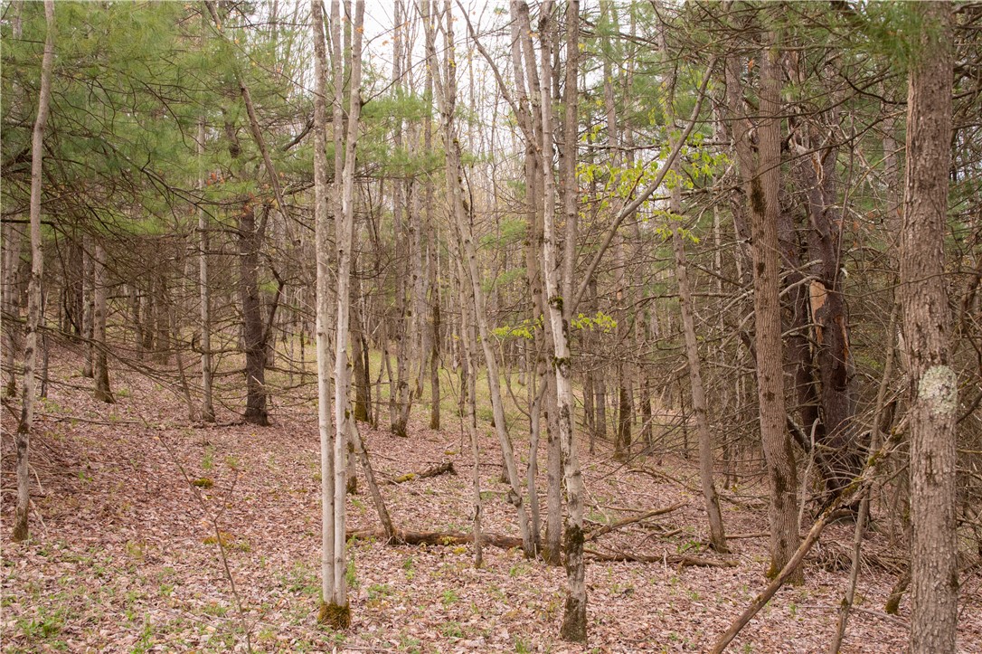 Lang Road Spencer, NY 14883 - Photo 40 of 50