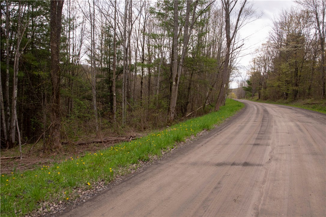 Lang Road Spencer, NY 14883 - Photo 4 of 50
