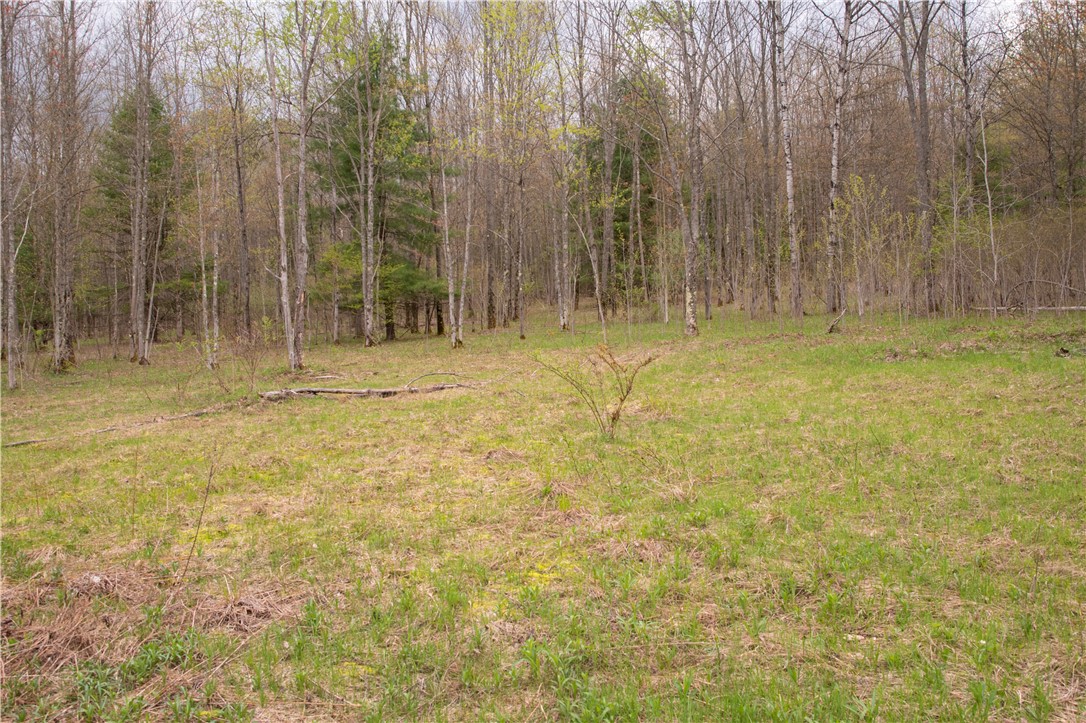 Lang Road Spencer, NY 14883 - Photo 41 of 50