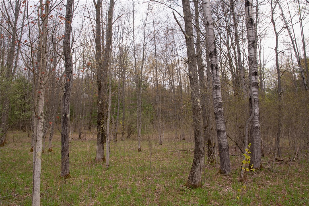 Lang Road Spencer, NY 14883 - Photo 42 of 50