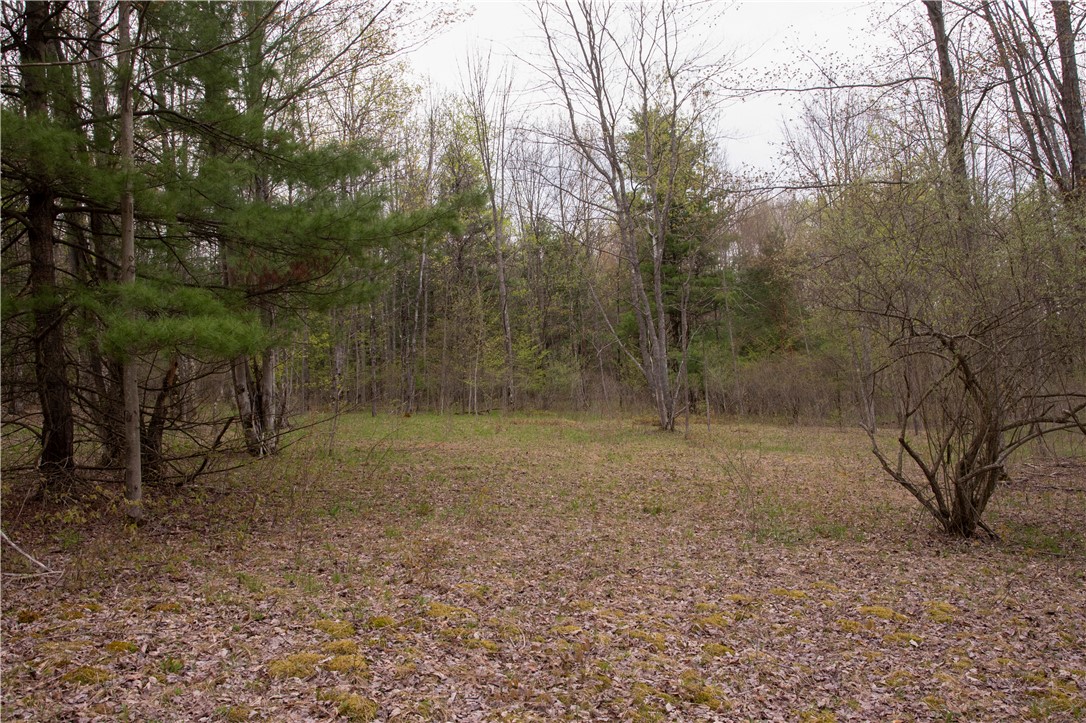 Lang Road Spencer, NY 14883 - Photo 43 of 50