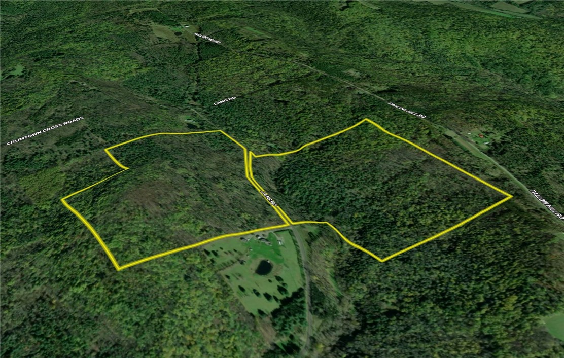 Lang Road Spencer, NY 14883 - Photo 44 of 50