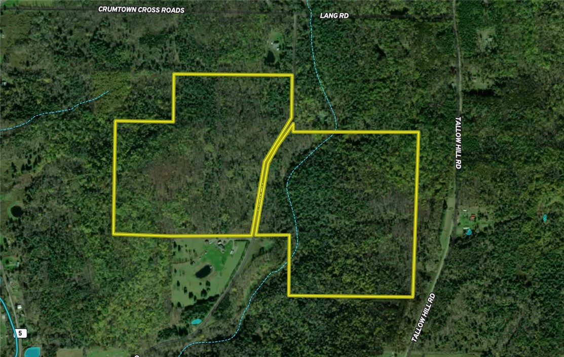 Lang Road Spencer, NY 14883 - Photo 47 of 50