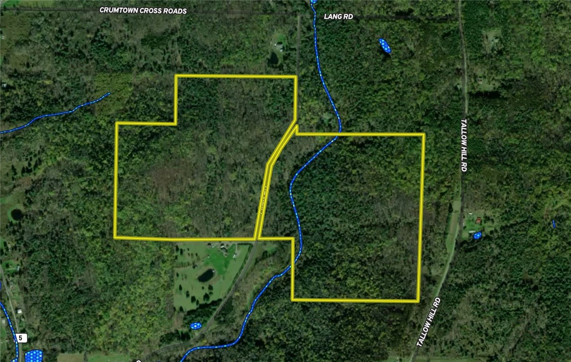 Lang Road Spencer, NY 14883 - Photo 48 of 50