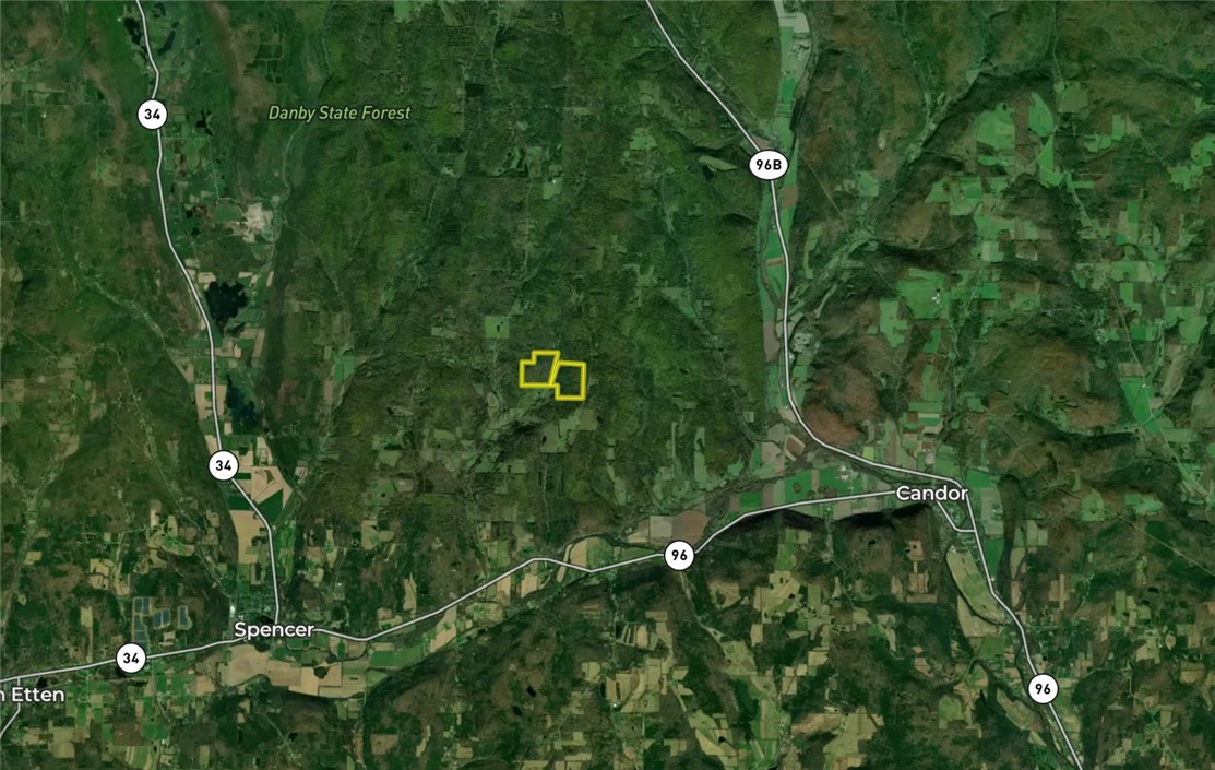 Lang Road Spencer, NY 14883 - Photo 50 of 50