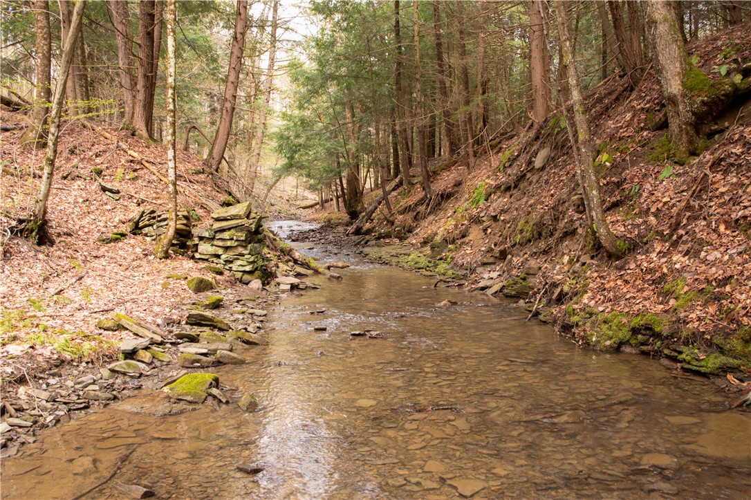 Lang Road Spencer, NY 14883 - Photo 5 of 50