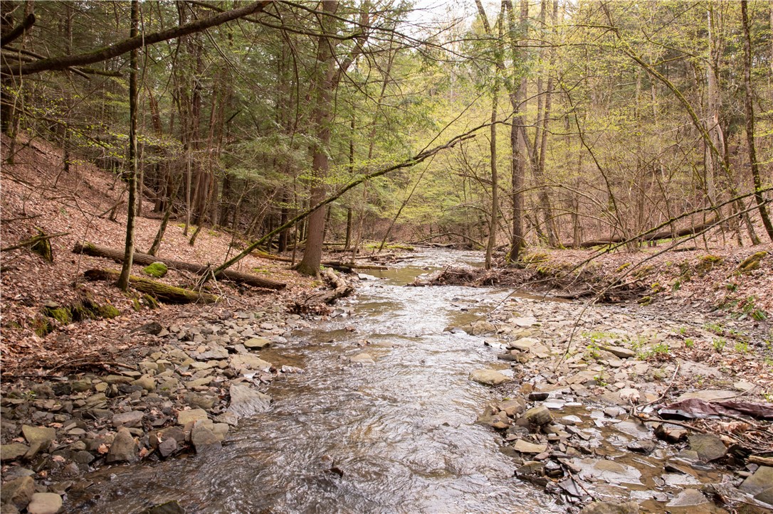 Lang Road Spencer, NY 14883 - Photo 6 of 50