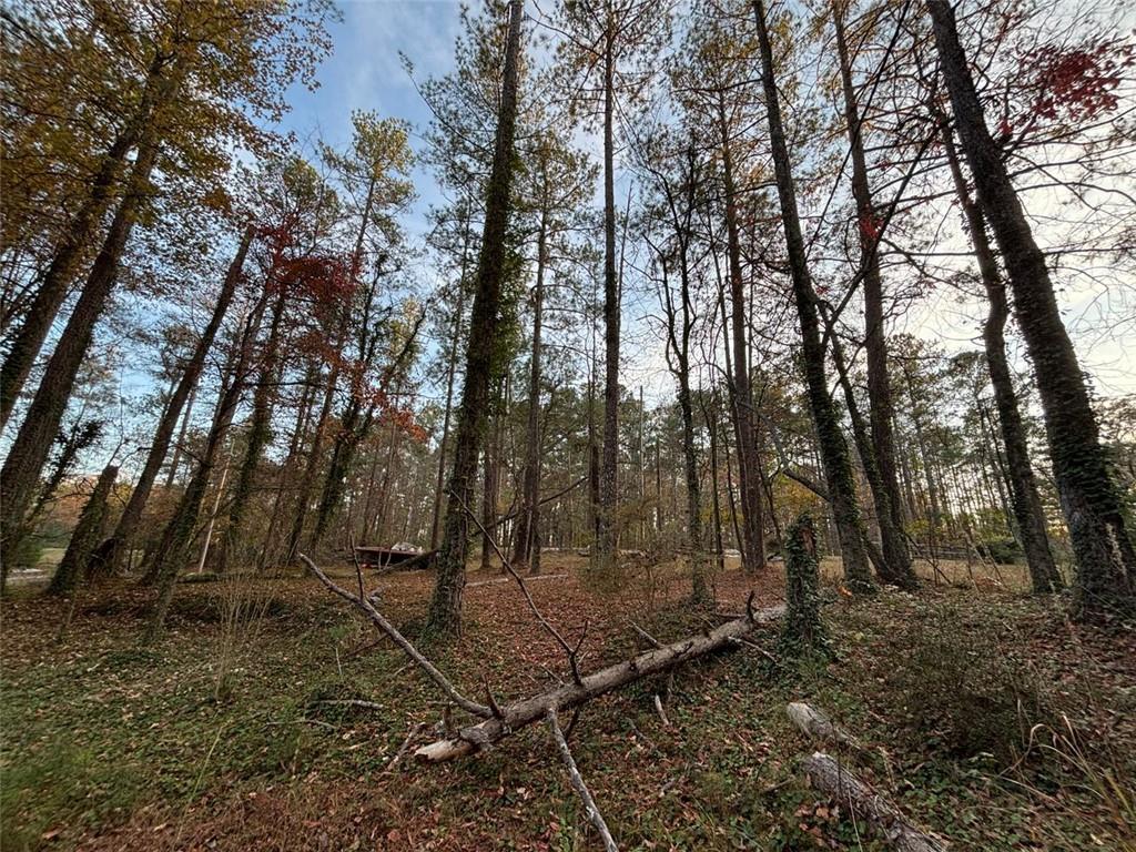 4926 Maroney Mill Road Douglasville, GA 30134 - Photo 21 of 26 a view of outdoor space with trees