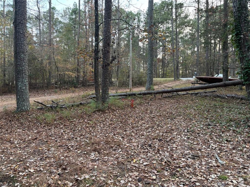 4926 Maroney Mill Road Douglasville, GA 30134 - Photo 25 of 26 a view of a backyard with trees