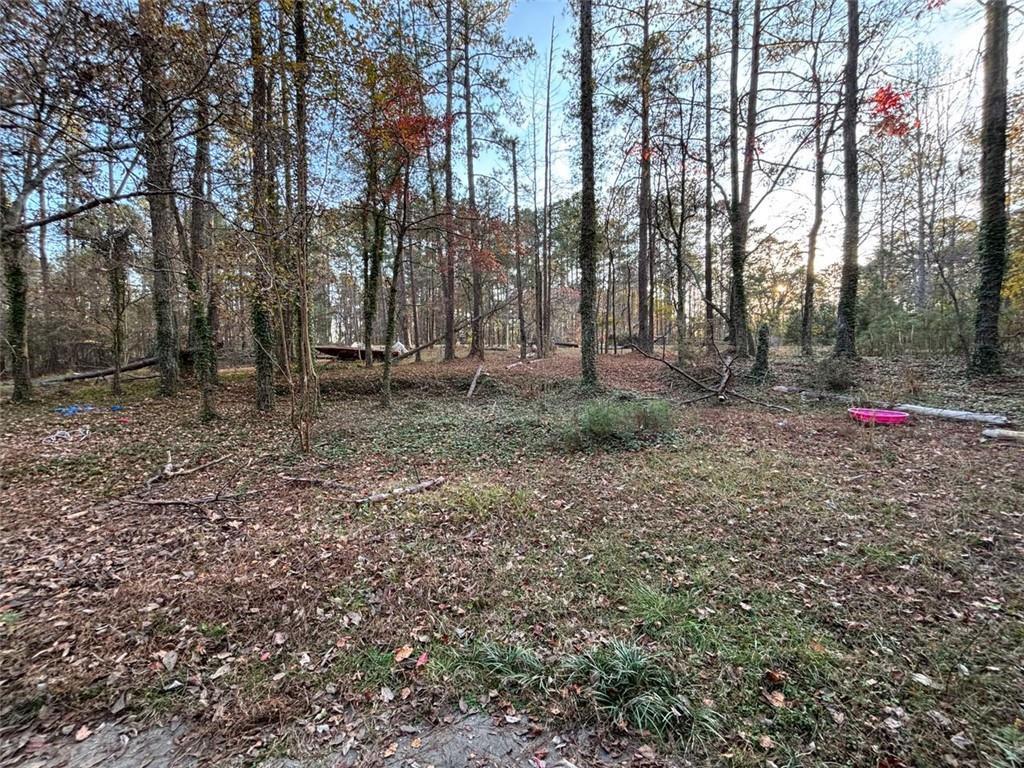 4926 Maroney Mill Road Douglasville, GA 30134 - Photo 26 of 26 a backyard of a house with lots of green space
