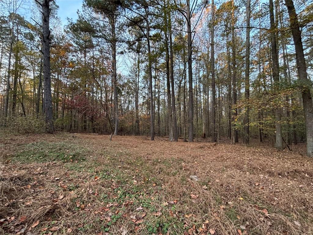4926 Maroney Mill Road Douglasville, GA 30134 - Photo 6 of 26 a view of backyard with tree