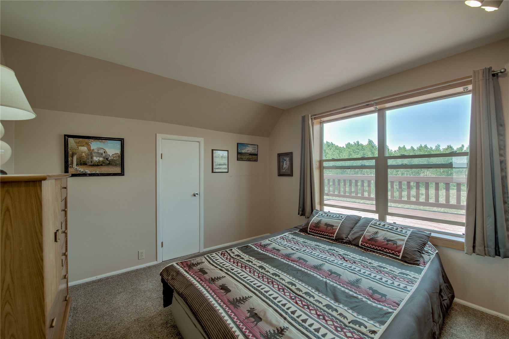 653 Vine Road Fairplay, CO 80440 - Photo 30 of 50