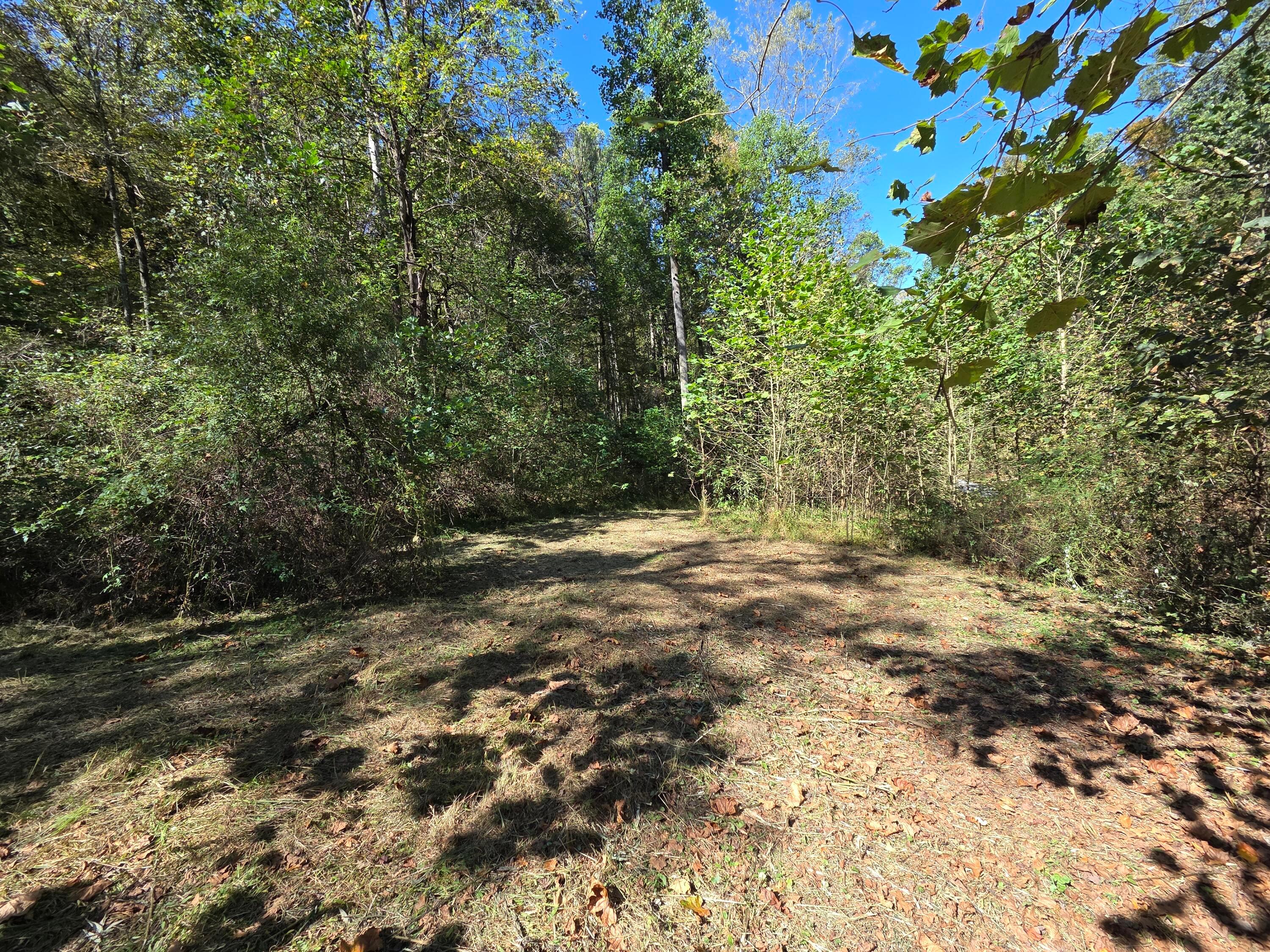 0 Newells Run Road Newport, OH 45768 - Photo 6 of 21 14