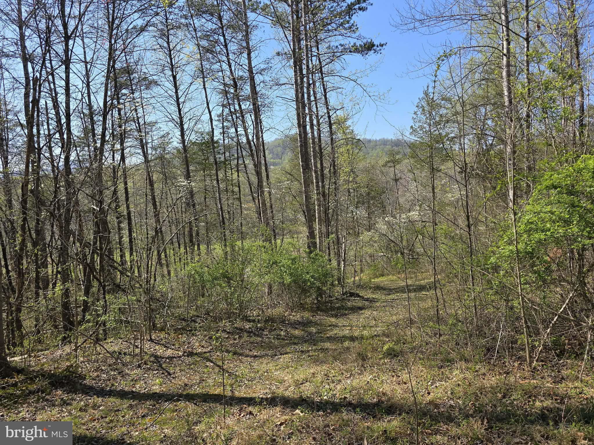 Lot 1 South Ft Valley Road Madison, VA 22727 - Photo 1 of 17 Almost 180 degrees of Mountain Views!