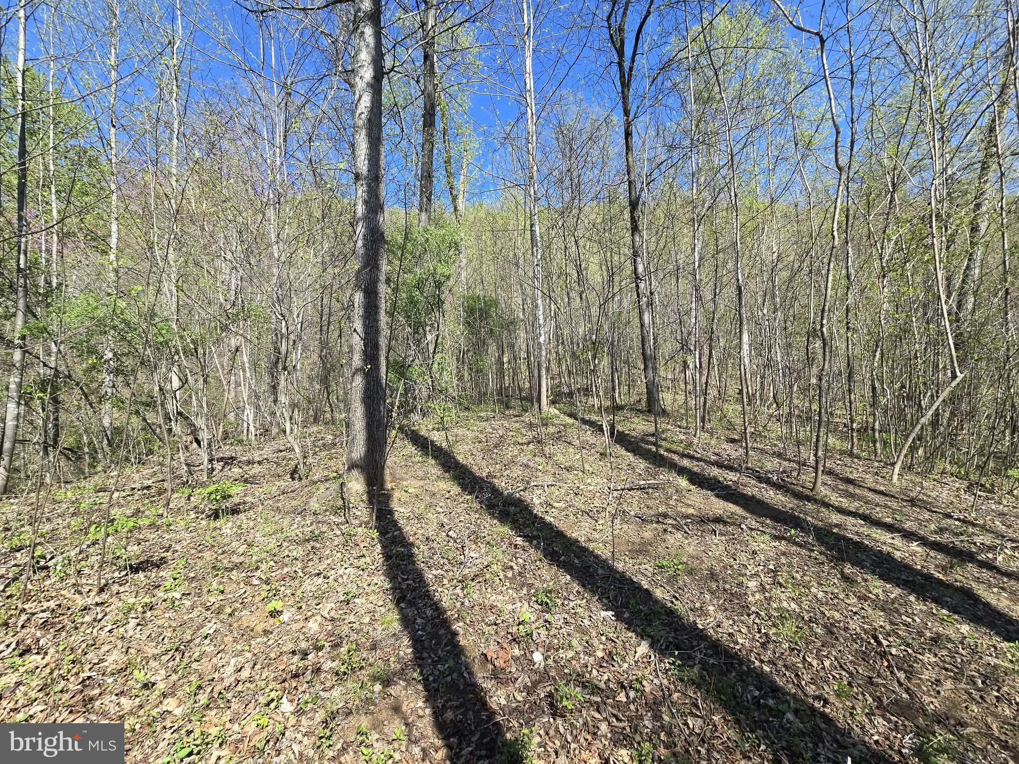 Lot 1 South Ft Valley Road Madison, VA 22727 - Photo 13 of 17