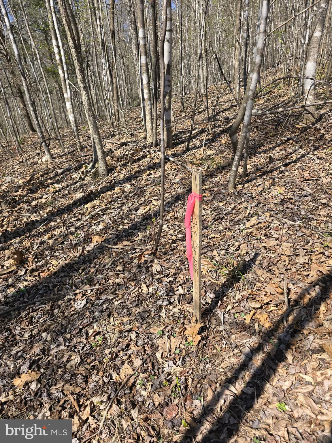 Lot 1 South Ft Valley Road Madison, VA 22727 - Photo 14 of 17